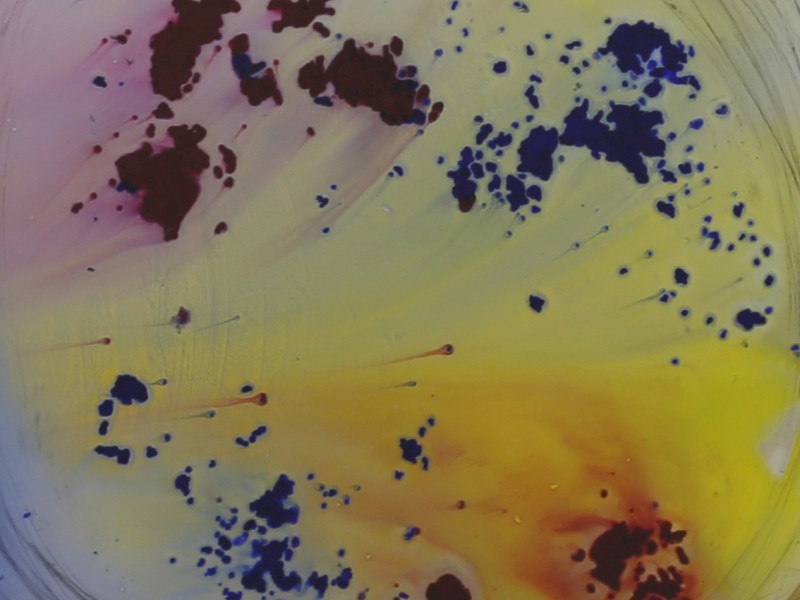 Couleurs frontalières